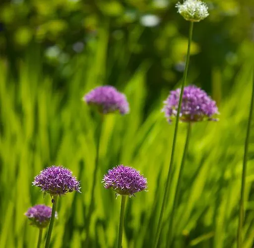 Hotel Westbrook House