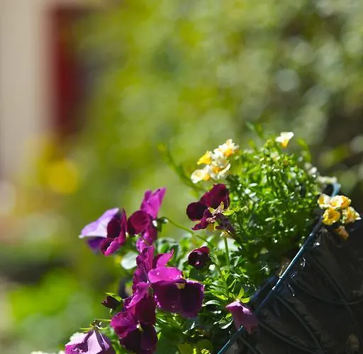 Hotel Westbrook House Buncrana